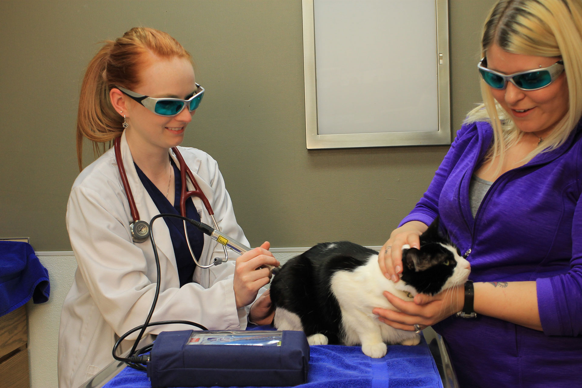 Laser Therapy  North Chesterfield, VA 